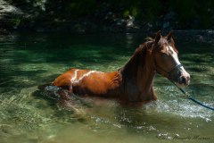 Eloïse Hermitte Meunier