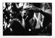 Eloïse Hermitte Meunier-les mains du forgeron