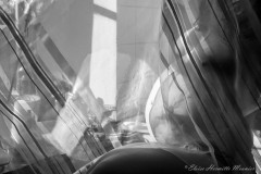 Eloïse Hermitte Meunier-femme enceinte