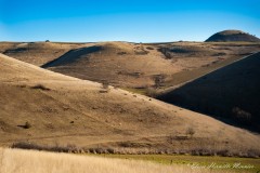 Eloïse Hermitte Meunier