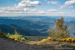 Eloïse Hermitte Meunier